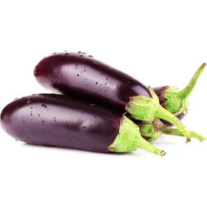 Murat Tohumculuk Murat Tohum Kemer Patlıcan Tohumu 25 Adet Tohum