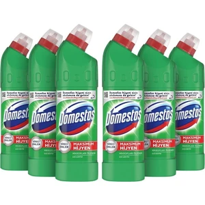 Int Domestos 750 gr Dag Esıntısı x 6