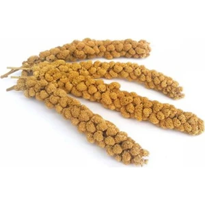 Tasarım Kuşevi Ithal Dal Darı (4 Adet)