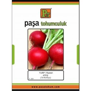Paşa Tohumculuk Turp Tohumu 10 gr Ateş Iri Kırmızı Turp