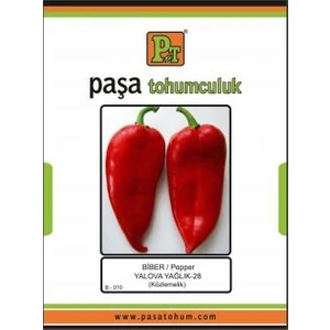 Paşa Tohumculuk Biber Tohumu Yalova Yağlık-28 Kapya 10 gr