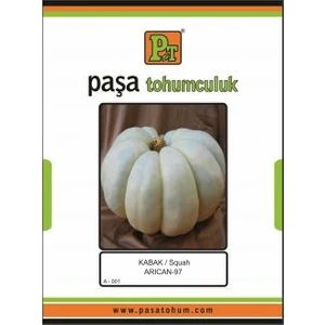 Paşa Tohumculuk Kabak Tohumu 10 gr Kestane (Arıcan-78)