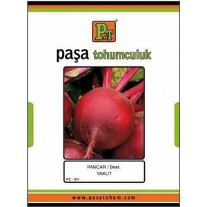 Paşa Tohumculuk Kırmızı Pancar Tohumu 10 gr Paşa Tohumculuk