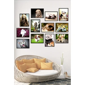 Biz Dijital 12 Parça Kedi, Köpek, Ayı, Kaplan Fotoğrafları Çerçeve Görünümlü Mdf Tablo Seti