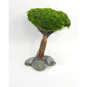 Marimo Scape Dekor Ağaç Figürü Moss Sarılı 'm'