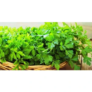 Murat Tohumculuk Murat Tohum Italyan Geniş Yapraklı Maydonoz Tohumu 300 Adet Tohum