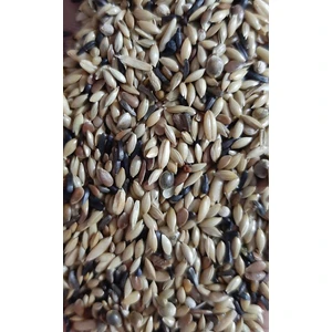 İksir Prof Kanarya Süper Karışım 1 kg