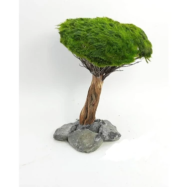 Marimo Scape Dekor Ağaç Figürü Moss Sarılı
