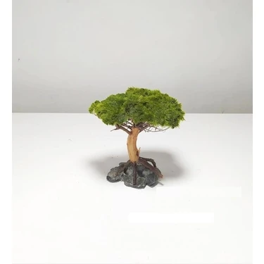 Marimo Scape Dekor Ağaç Figürü Moss Sarılı