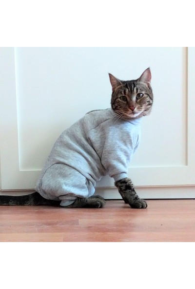 Stylie Uzun Kollu Kedi Ameliyat Sonrası Giysisi