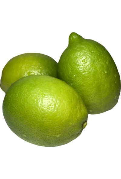 Dökme Ürünler Evimde Bahçem Yeşil Limon Taze Meyve 2 kg File Limon