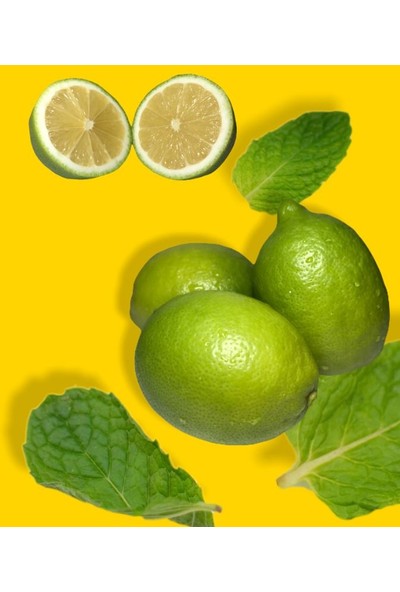 Dökme Ürünler Evimde Bahçem Yeşil Limon Taze Meyve 2 kg File Limon