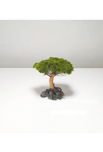 Dekor Ağaç Figürü Moss Sarılı 's'