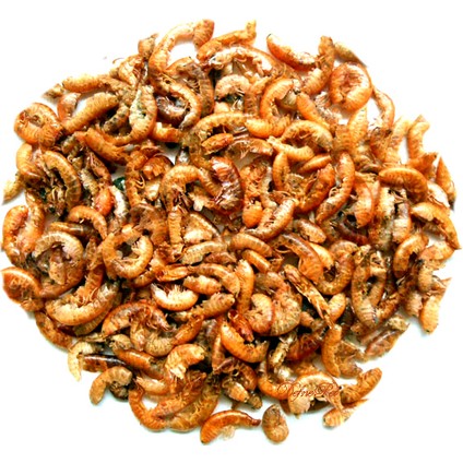 Gammarus Turtle 1000 ml Sürüngen ve Kaplumbağa Yemi fiyatları