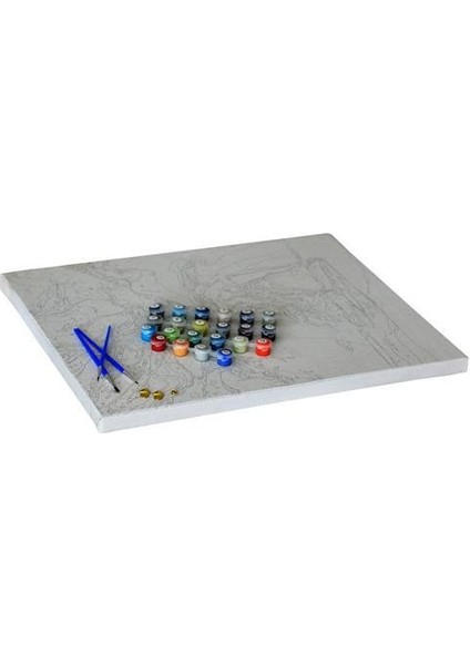 Renkli Kaplan Sayılarla Boyama Seti 40 x 50 cm Tuvale Gerili modelleri