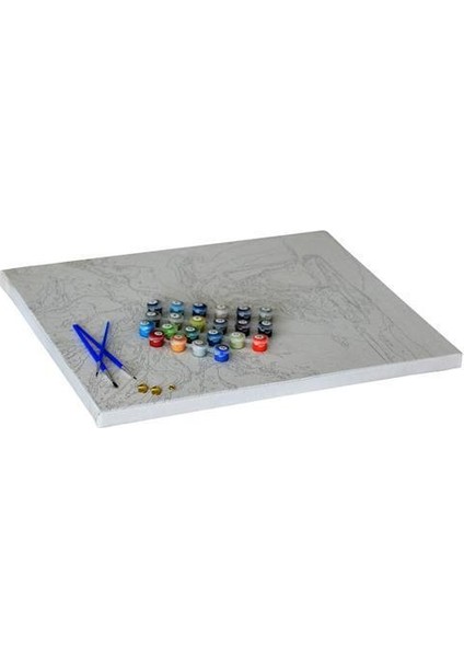 Womb Hobby Turkuazın Gizemi Sayılarla Boyama Seti 40 x 50 cm Tuvale Gerili modelleri