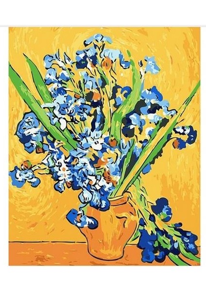 Van Gogh Süsen Sayılarla Boyama Seti 40 x 50 cm Tuvale Gerili