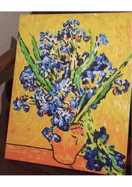 Van Gogh Süsen Sayılarla Boyama Seti 40 x 50 cm Tuvale Gerili fırsatları