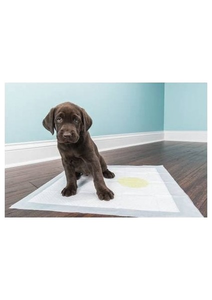 Kedi Köpek Çiş Pedi 60*90 30 Lu 6 Paket 180 Adet fiyatları