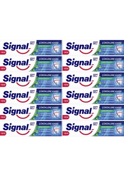 Diş Macunu Çürüklere Karşı Nane Ferahlığı 12x100 ml