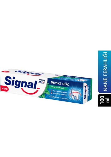 Diş Macunu Çürüklere Karşı Nane Ferahlığı 12x100 ml