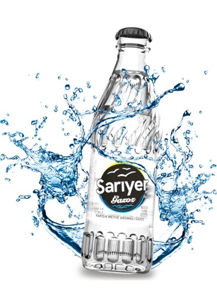 Sarıyer Gazoz 250 ml