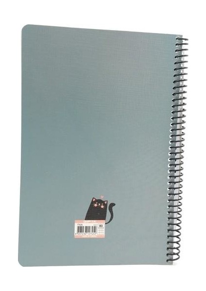 Post-Book 80 Yaprak Kareli 17 x 24 Spiralli 3'lü modelleri