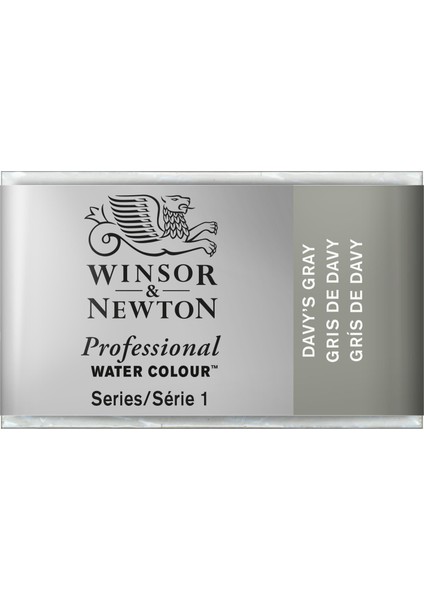 : Professional : Tam Tablet Suluboya : Davy's Gray 217 S.1