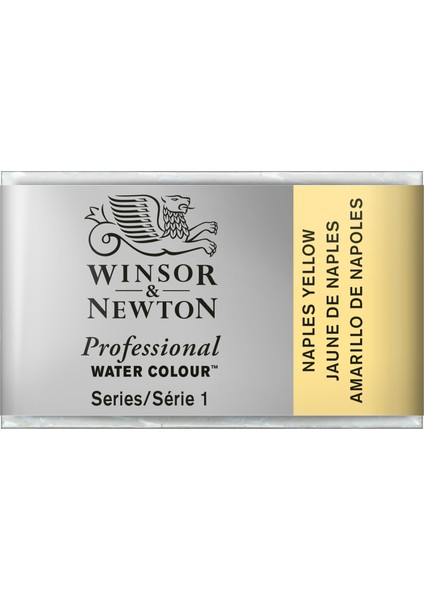 : Professional : Tam Tablet Suluboya : Naples Yellow 422 S.1