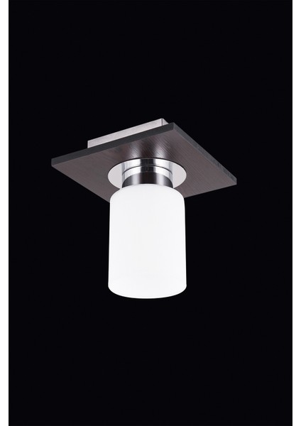 AR-65007-1K-BKV Venge Boyalı Modern Avize E14 Ahşap 20x20cm