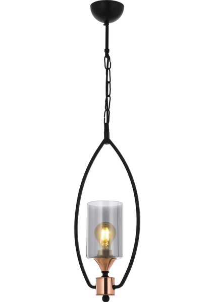 AV-1660-1BSY Siyah Boyalı Modern Avize E27 Metal Cam 30x15cm