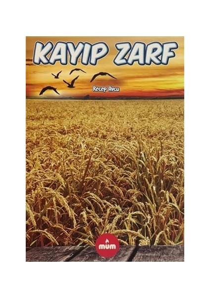 Kayıp Zarf - Recep Avcu