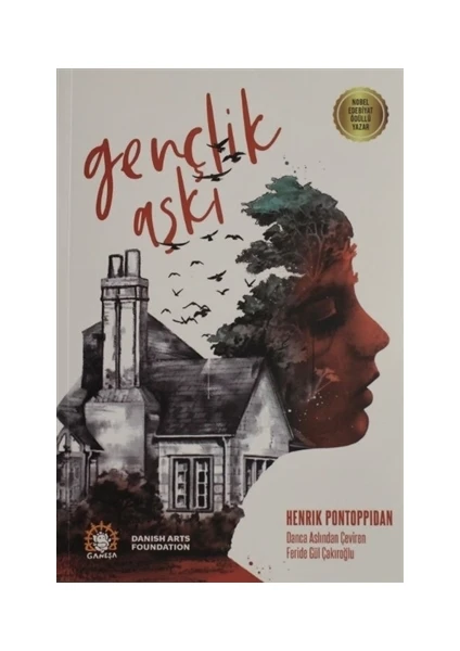 Gençlik Aşkı - Henrik Pontoppidan