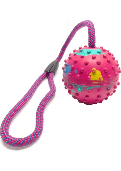 Köpek Diş Ipi Toplu BO-4407-AL 48CM modelleri