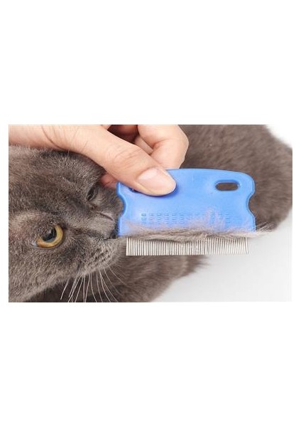 Kedi Köpek Bit ve Pire Tarağı