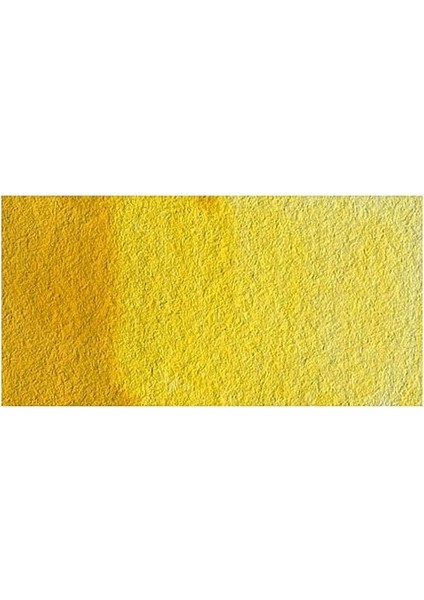 : Professional : Tüp Sulu Boya : 5 ml : Aureolin 016 S.4 fiyatları