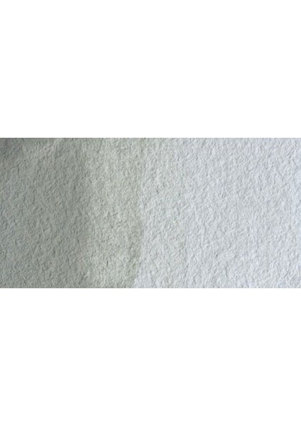 : Professional : Tüp Sulu Boya : 5 ml : Davy's Gray 217 S.1 fiyatları