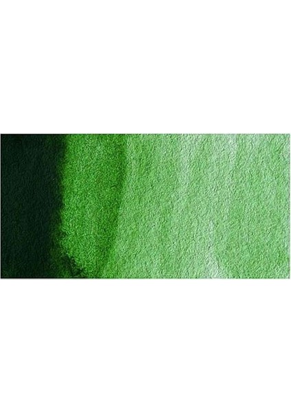 : Professional : Tüp Sulu Boya : 5 ml : Hooker's Green 311 S.1