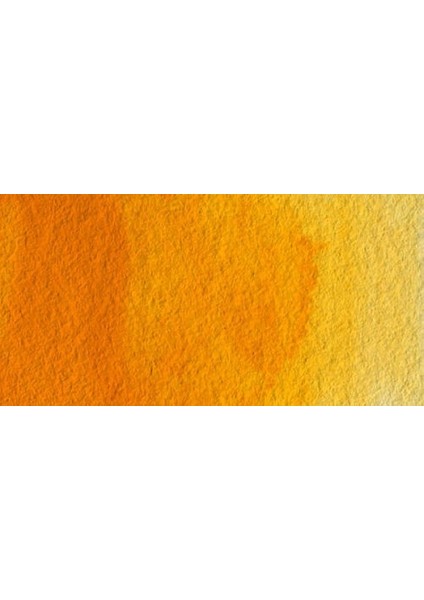 : Professional : Tüp Sulu Boya : 5 ml : Indian Yellow 319 S.1 fiyatları