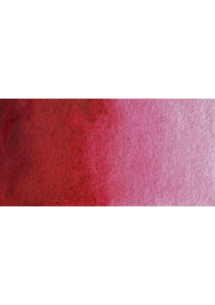 : Professional : Tüp Sulu Boya : 5 ml : Permanent Carmine 479 S.3 fiyatları