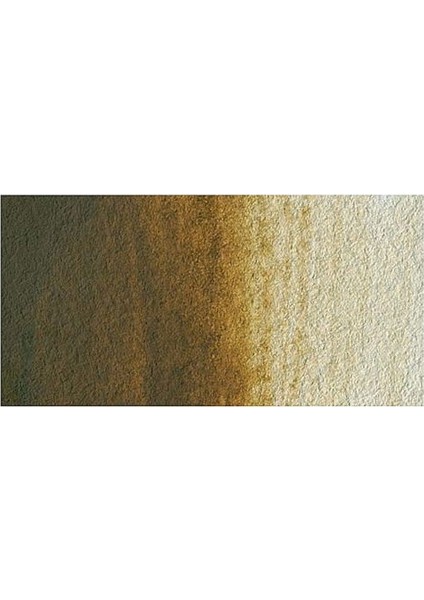 : Professional : Tüp Sulu Boya : 5 ml : Raw Umber 554 S.1 fiyatları