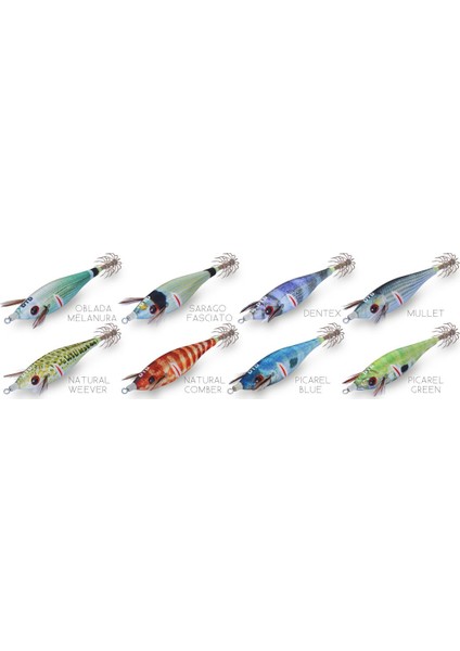 Wounded Fish 1.5 Color:sarago Fasciato