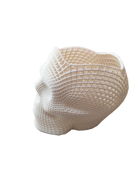 3D Printer Baskı Özel Meshli Kuru Kafa Kalemlik Beyaz