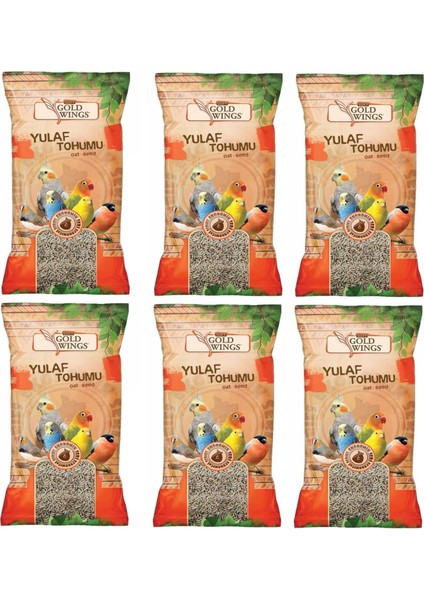Yulaf Kuş Yemi 300 gr (6 Adet)