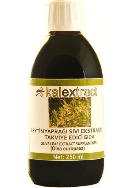 Zeytin Yaprağı Sıvı Ekstraktı 250 ml