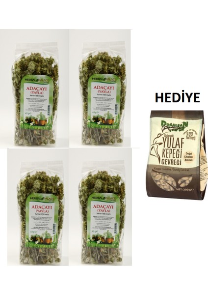 Adaçayı (Yayla) 4 Adet Herbal Palace (1 Adet Doğalsan Çikolatalı Yulaf Kepeği Gevreği Hediye)