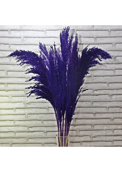 Mor Pampas 10 Adet 100 cm