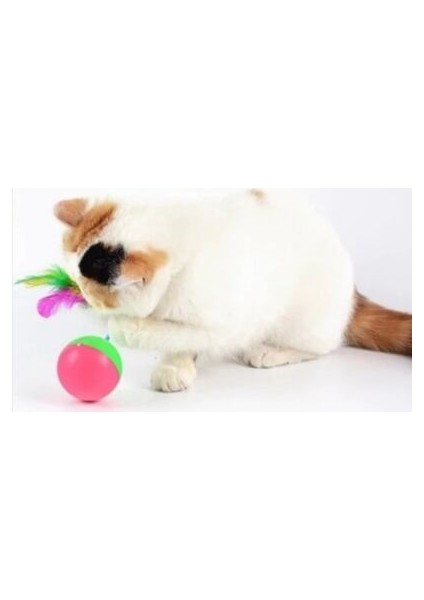 Hacı Yatmaz Kedi Oyuncağı fiyatları