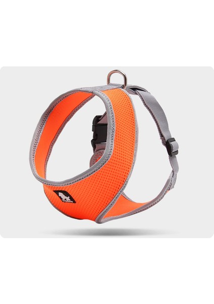 Air Mesh Turuncu Köpek Göğüs Tasması fiyatları