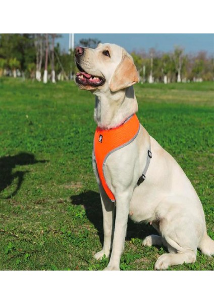 Air Mesh Neon Sarı Köpek Göğüs Tasması